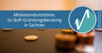 Selbstaendig-in-Mitteldeutschland.de-förderung-sachsen